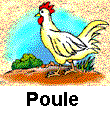 poule.gif