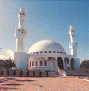 co-14.gif (15456 bytes)