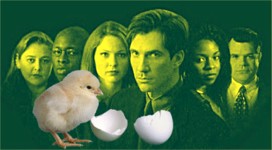 chicken mania