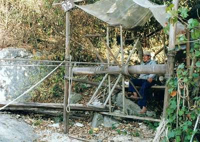 ��ת����W����