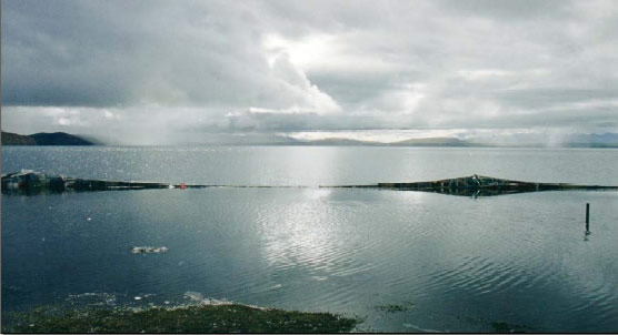 lake mansarovar, mr. kailash, india