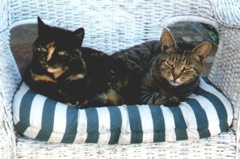 Fancy and Tommy