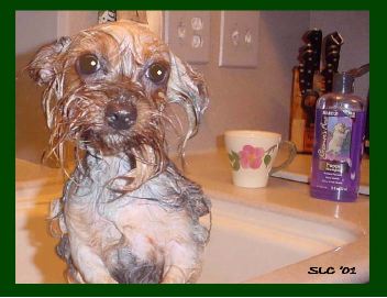 Liz getting a bath