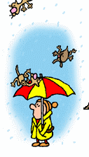 Raining Cats and Dogs
