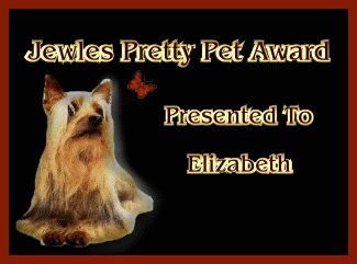 Jewles Pretty Pet Award