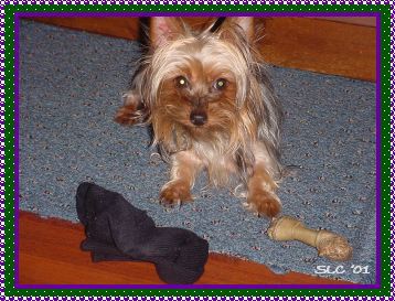 Liz with sock