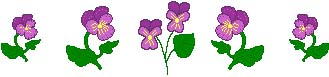 Pansy Border