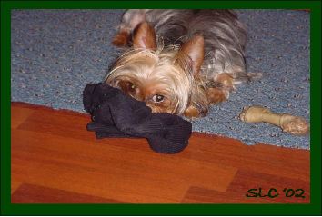 My Sock Now