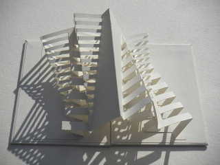 White Books