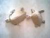 Sea Turtles conjoined