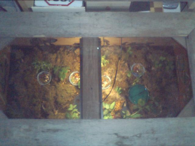 coffee table through lid