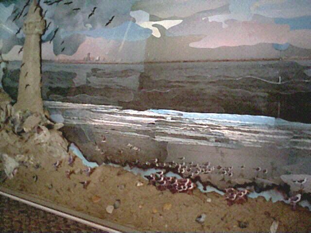 A Day From The Beach Side View