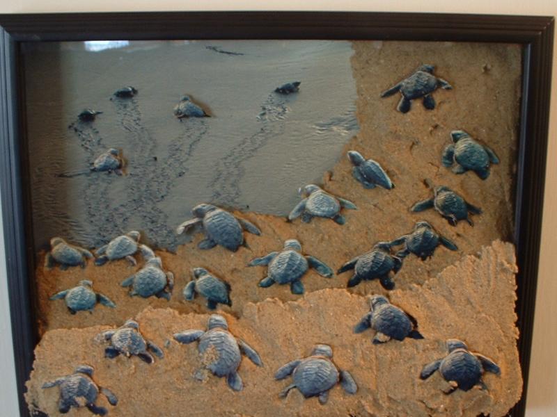 Sea Turtle Hatchlings ShadowBox