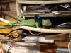 Lizard Sleeping