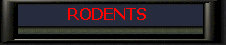 Rodents.jpg