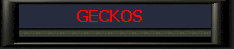 Geckos.jpg