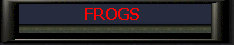 Frogs.jpg