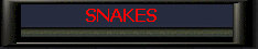 Snakes.jpg