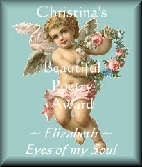 Beautiful Poet Award