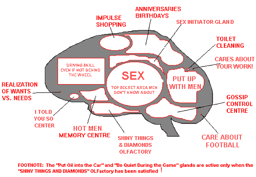 female brain.gif (13932 bytes)