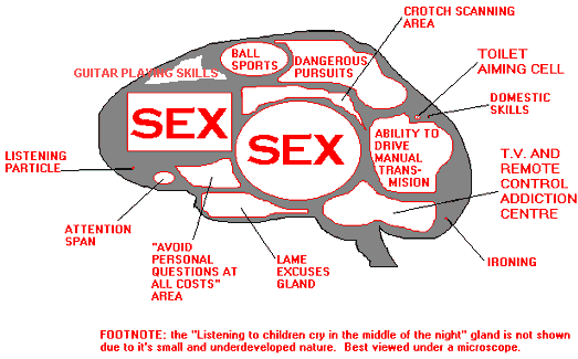 male brain.gif (14459 bytes)