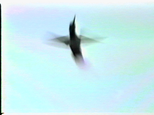 A hummingbird flies up for some lunch.