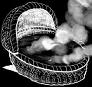 The Cradle of Civilisation by Alan Moir 