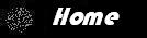 Button with link to homepage