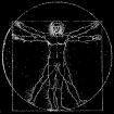 Vitruvian man by Leonardo da Vinci
