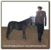 Riley and Breeder/Handler Laura Harrell
