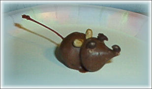 Click the mousies nose to go to Chocolate 2 >>>>>>> 