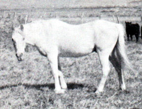 Azym