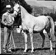 Bint Sahara