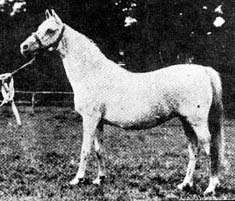 Bukra