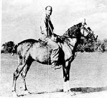 *Fadl ridden polo