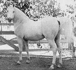 Ferseyn