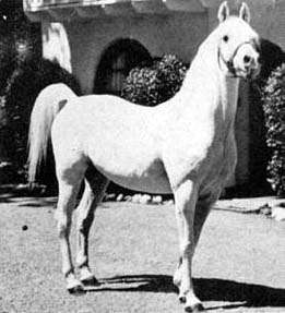 Ghazi