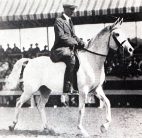 Gulnare being ridden