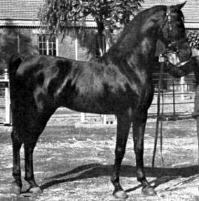 Ibn Rabdan