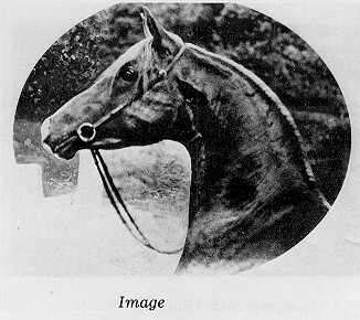 Image (head)
