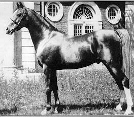 *Nureddin II