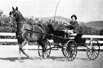 Raad being driven