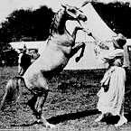 Yearling *Rifala