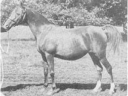 Riyala