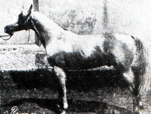 Rymnik