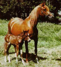 *Serafina with baby Seramax
