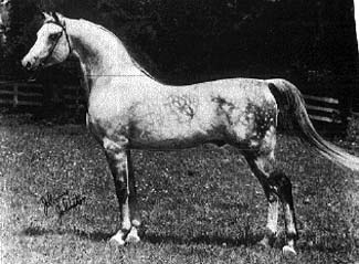 *Silver Drift