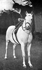 Lady Wentworth riding Skowronek