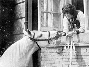 Skowronek w/Lady Wentworth