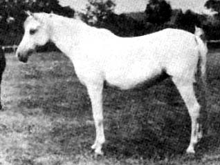 Sobha